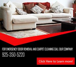 F.A.Q | Carpet Cleaning Danville, CA