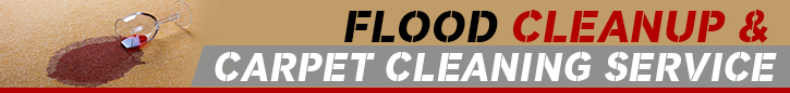 F.A.Q | Carpet Cleaning Danville, CA